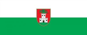 101640_NpAdvHover ljubljana občina